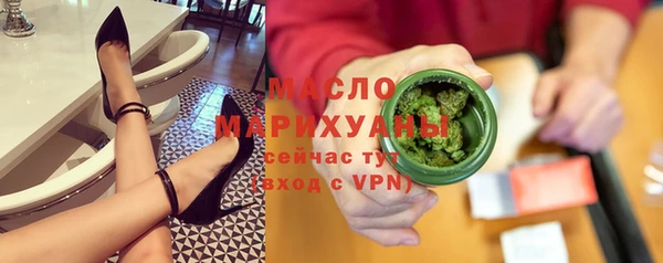 МДПВ Бородино