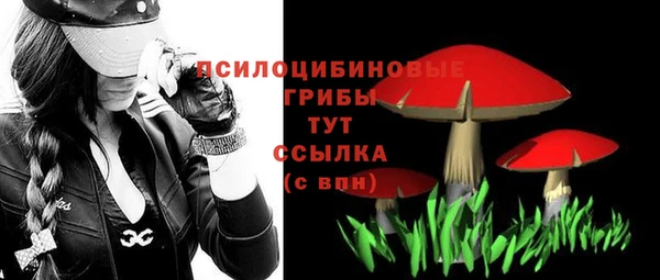 молекула духа Бронницы