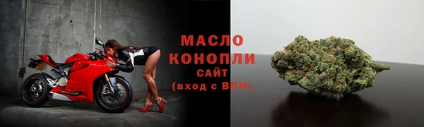 МДПВ Бородино