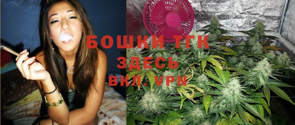 прущие грибы Беломорск