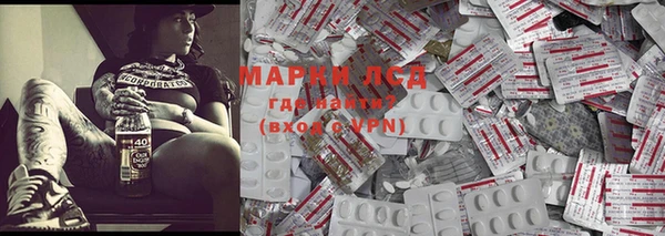 МДПВ Бородино