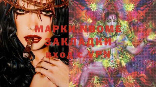 МДПВ Бородино