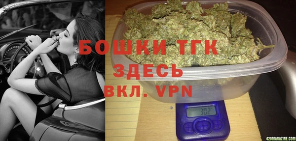 МДПВ Бородино
