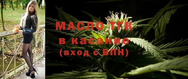 МДПВ Бородино