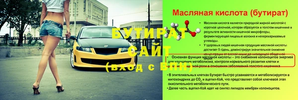 МДПВ Бородино