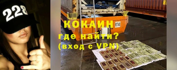 прущие грибы Билибино