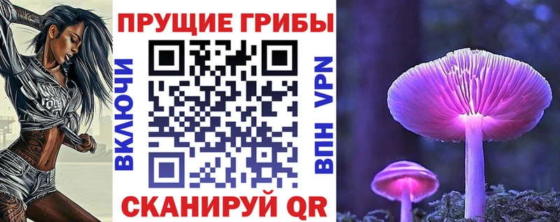 где найти наркотики  Дальнегорск  Псилоцибиновые грибы ЛСД 