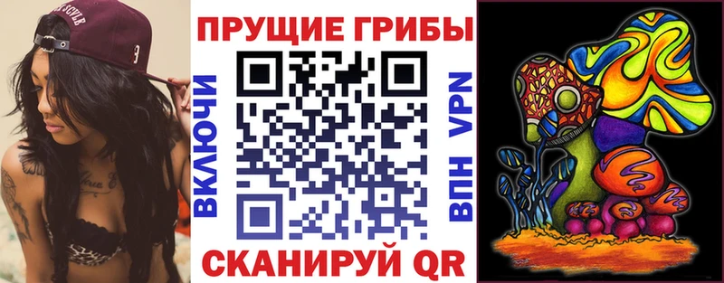 Галлюциногенные грибы Cubensis Дальнегорск